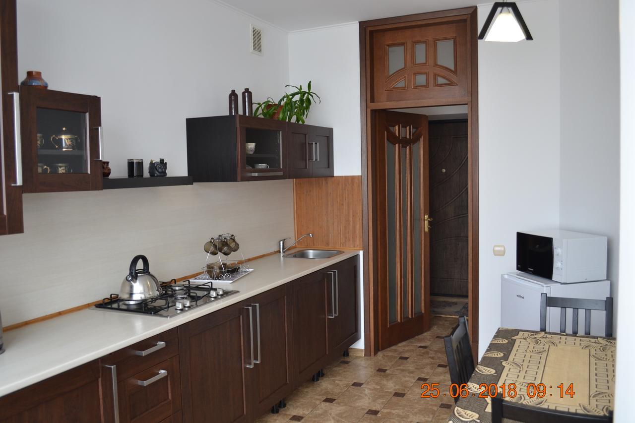Sunny Apartment In The City Center Truskavets Bagian luar foto